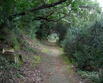 riserva naturale isola di vivara7