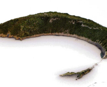 Ustica-Repola-vivara4