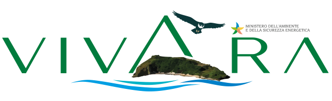 Riserva Naturale Statale Isola di Vivara